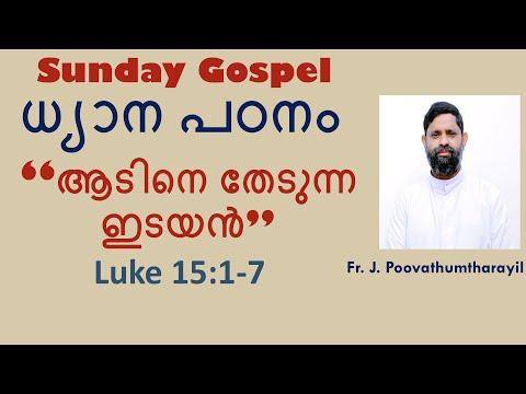 12 July Sunday | Luke 15:1-7 | Study and Reflections - Fr Joseph Poovathumtharayil