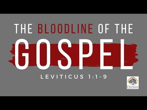 The Bloodline of the Gospel - Leviticus 1:1-9