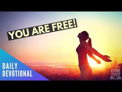 You are FREE! | John 8:36 [Daily Devotional]