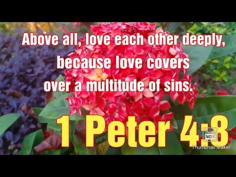 1 Peter 4:8