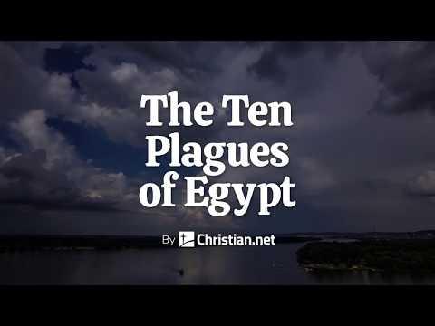Exodus 7:8 - 11: The Ten Plagues Of Egypt | Bible Stories