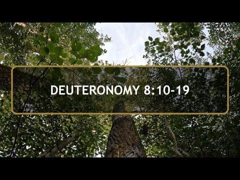 Daily Prayer and Bible Study Deuteronomy 8:10-19