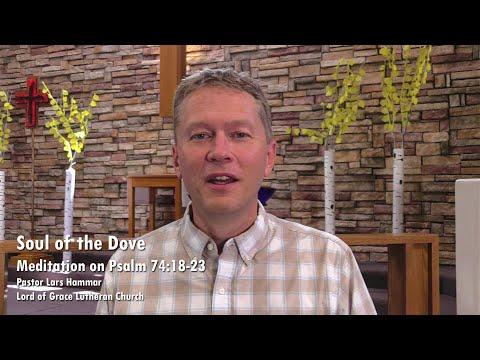 Soul of the Dove – Psalm 74:18-23