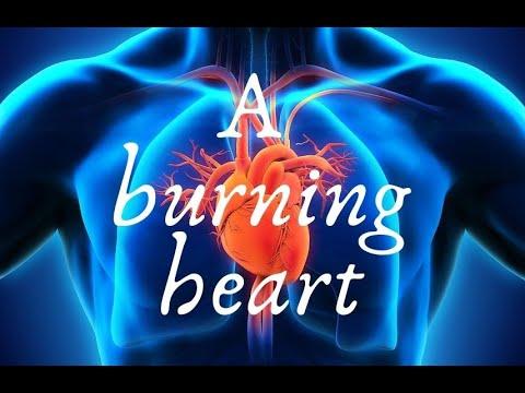 A burning heart / Luke 24:32