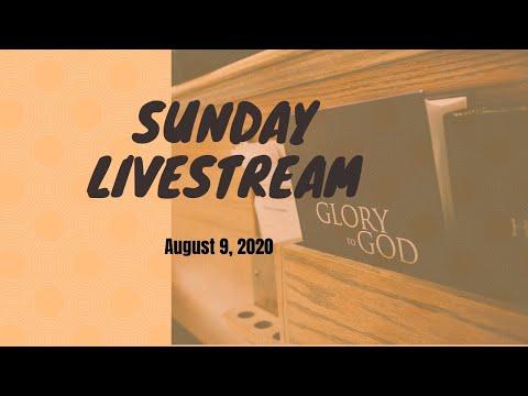 The God Who Carries Me - Isaiah 46:1-4, Pastor Mahdi Wade | August 9, 2020
