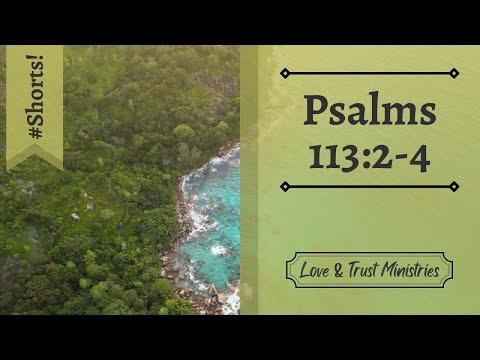 Praise the Lord Forevermore! | Psalms 113:2-4 | July 30th | Rise and Shine Shorts