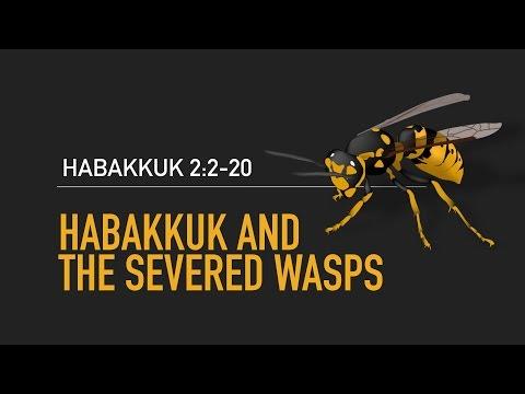 Habakkuk 2:2-20, Habakkuk and the Severed Wasps