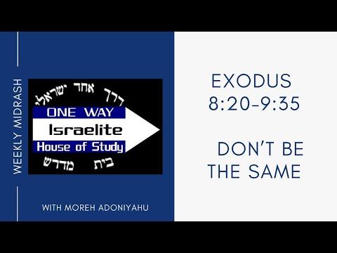 Don't Be The Same - Exodus 8:20-9:35