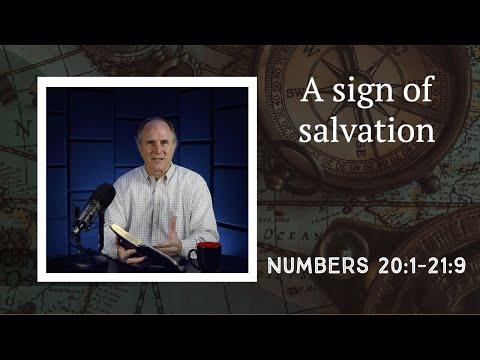 Lesson 73: Serpent on a Pole (Numbers 20:1-21:9)