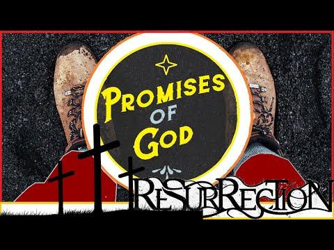 The Promise of Resurrection | Cross Over Death | John 5:28-29 | Words of Grace | Resurrected to Life
