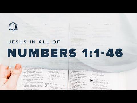 THE CENSUS | Bible Study | Numbers 1:1-1:46