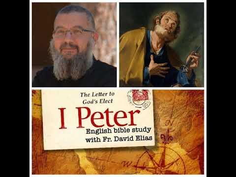 1st Peter 2 :11-17 English Bible Study FR. David Elias