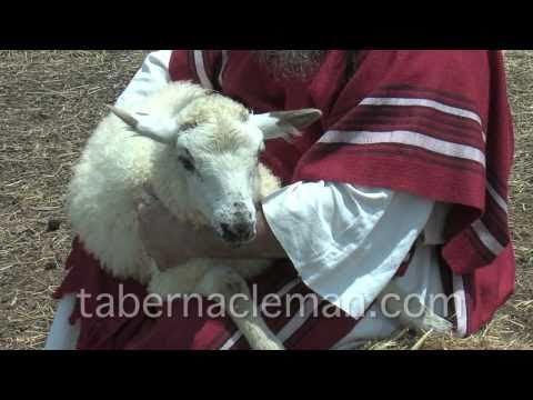 Passover Lamb Exodus 12:1-13 Scripture Reading