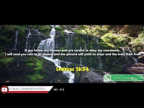Leviticus 26:3-4 | Daily Word_19/09/2021 | Whatsapp Status