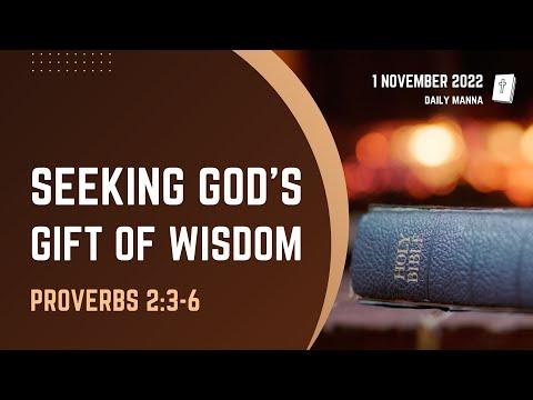 Proverbs 2:3-6 | Seeking God’s Gift Of Wisdom | Daily Manna