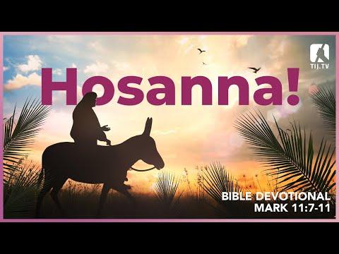 102. Hosanna! - Mark 11:7-11