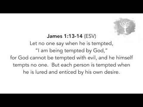 SCRIPTURE MEMORY SONG | James 1:13-14