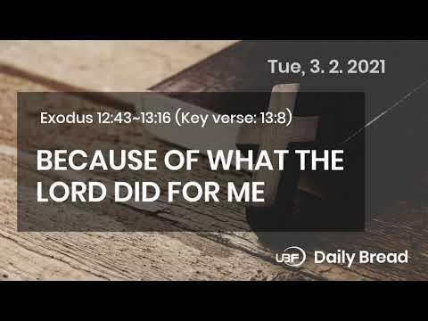 BECAUSE OF WHAT THE LORD DID FOR ME / UBF Daily Bread, Exodus 12:43~13:16, 3.2.2021