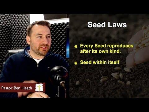 Genesis 1:9-13 | Souls & The Seed Within Itself