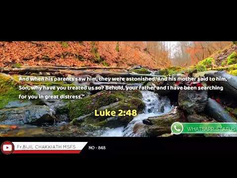 Luke 2:48 | Daily Word_30/09/2022 | Whatsapp Status