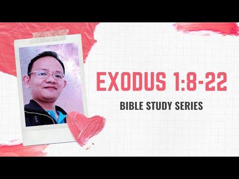 EXODUS 1:8-22 | Bible Study series