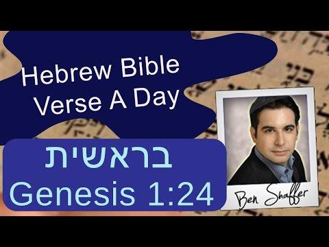Genesis 1:24 Learn Hebrew By Reading A Bible Verse From Bereishit