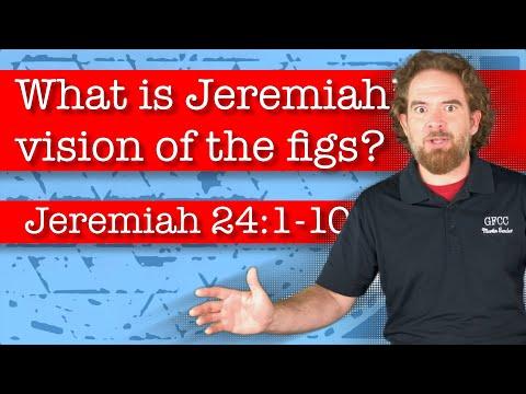 What is Jeremiah’s vision of the figs? - Jeremiah 24:1-10