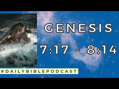 Wake Up to the Bible Podcast - Noach - Genesis 7:17 - 8:14