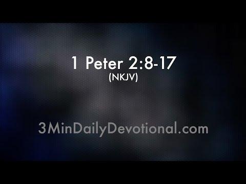 1 Peter 2:8-17 (3minDailyDevotional) (#198)