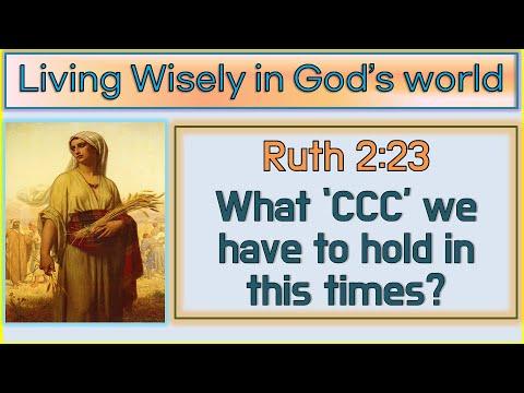 Ruth 2:23 [  What C.C.C. we have to hold in this times? ]