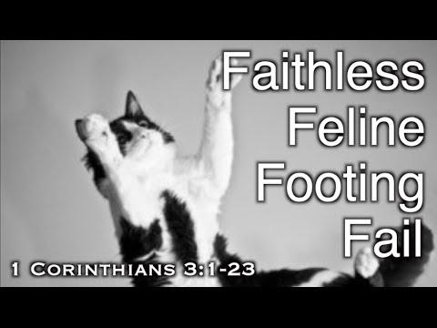 Faithless Feline Footing Fail (1 Corinthians 3:1-23)