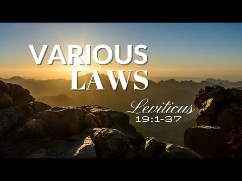 Leviticus 19:1-37 VARIOUS LAWS NIV Female Narration