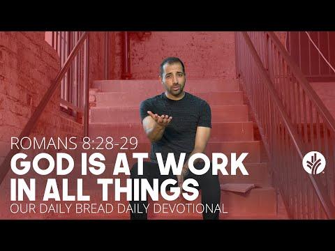God Is at Work in All Things | Romans 8:28–29 | Our Daily Bread Video