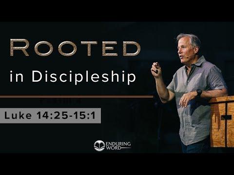 'Rooted' 1 - Rooted In Discipleship - Luke 14:25-15:1