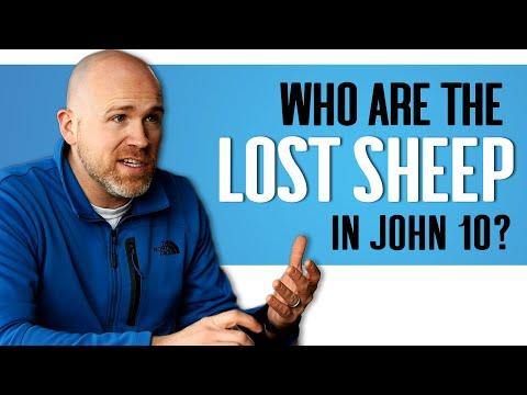 Are the "other sheep not of this fold" in John 10:16 ancient Americans? | God Loves Mormons
