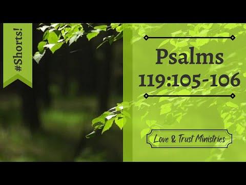 Thy Word Is a Lamp! | Psalms 119:105-106 | June 18th | Rise and Shine Shorts