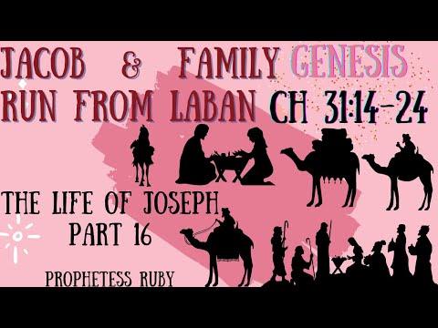 JACOB & FAMILY RUN FROM LABAN GENESIS 31:14-24