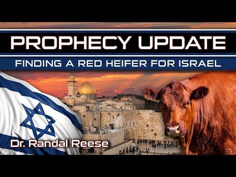 Prophecy Update - Finding a Red Heifer for Israel (Numbers 19:1-9) | End Times Prophecy