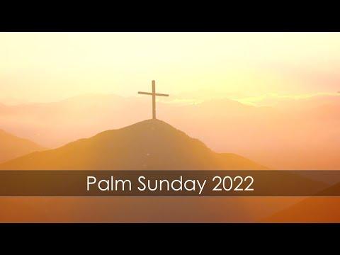Don't Miss the Moment! | Luke 18:31-34, Luke 19:28-44 | Ian Higginbotham | Sunday 10th April 2022