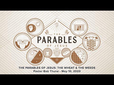The Parables of Jesus: The Wheat & The Weeds (Matthew 13:24-30)