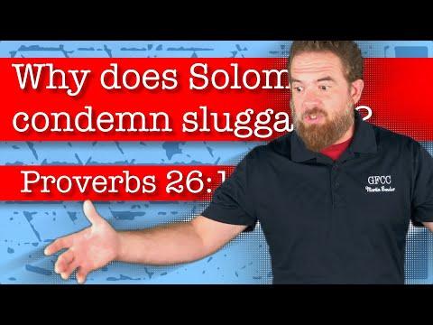 Why does Solomon condemn sluggards? - Proverbs 26:13-16