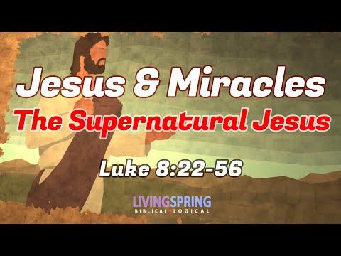 Why Did Jesus Perform Miracles? (Exposition of Luke 8:22-56)