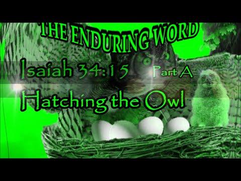 HATCHING THE OWL  (Isaiah 34:15 - Pt A)