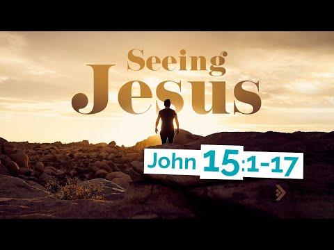 John 15:1-17 - SEEING JESUS