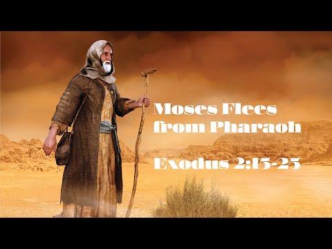 The Murderer Moses Flees to Midian - Exodus 2:15-25Exodus 2 15 25