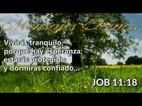Job 11:18
