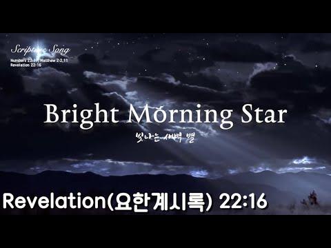 【ꜱᴄʀɪᴩᴛᴜʀᴇ ꜱᴏɴɢ】 Revelation 22:16 | Bright Morning Star | 빛나는 새벽 별 | Soul Namu