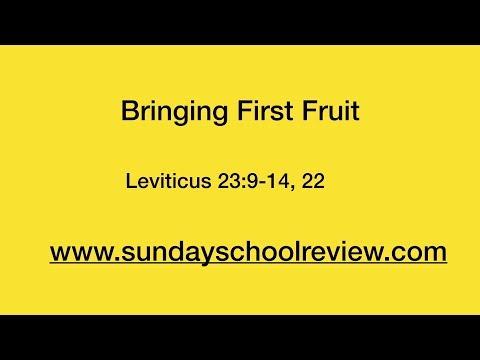 Bringing  First Fruits - Leviticus 23:9-14, 22 , Sunday School Lesson May 13 - 19.