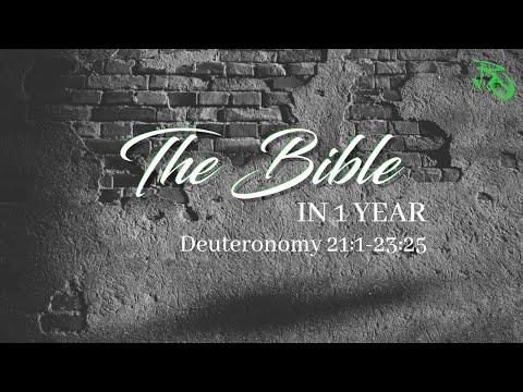 The Bible in 1 Year - EP 77 - Deuteronomy 21:1-23:25