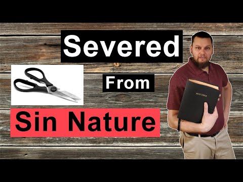 The Severed Sin Nature and Killing Sin | Sermon | Romans 6:1-14